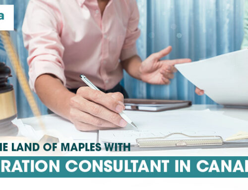 Stay in The Land of Maples with Immigration Consultant in Canada | Pearvisa