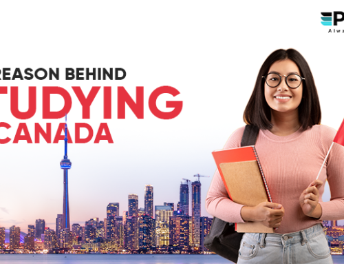 The Reason Behind Studying in Canada
